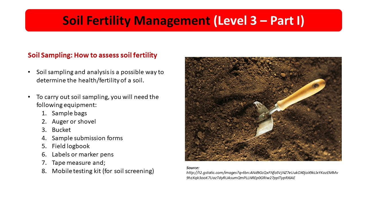 soil-fertility-will-make-or-break-your-garden-there-s-no-doubt-about